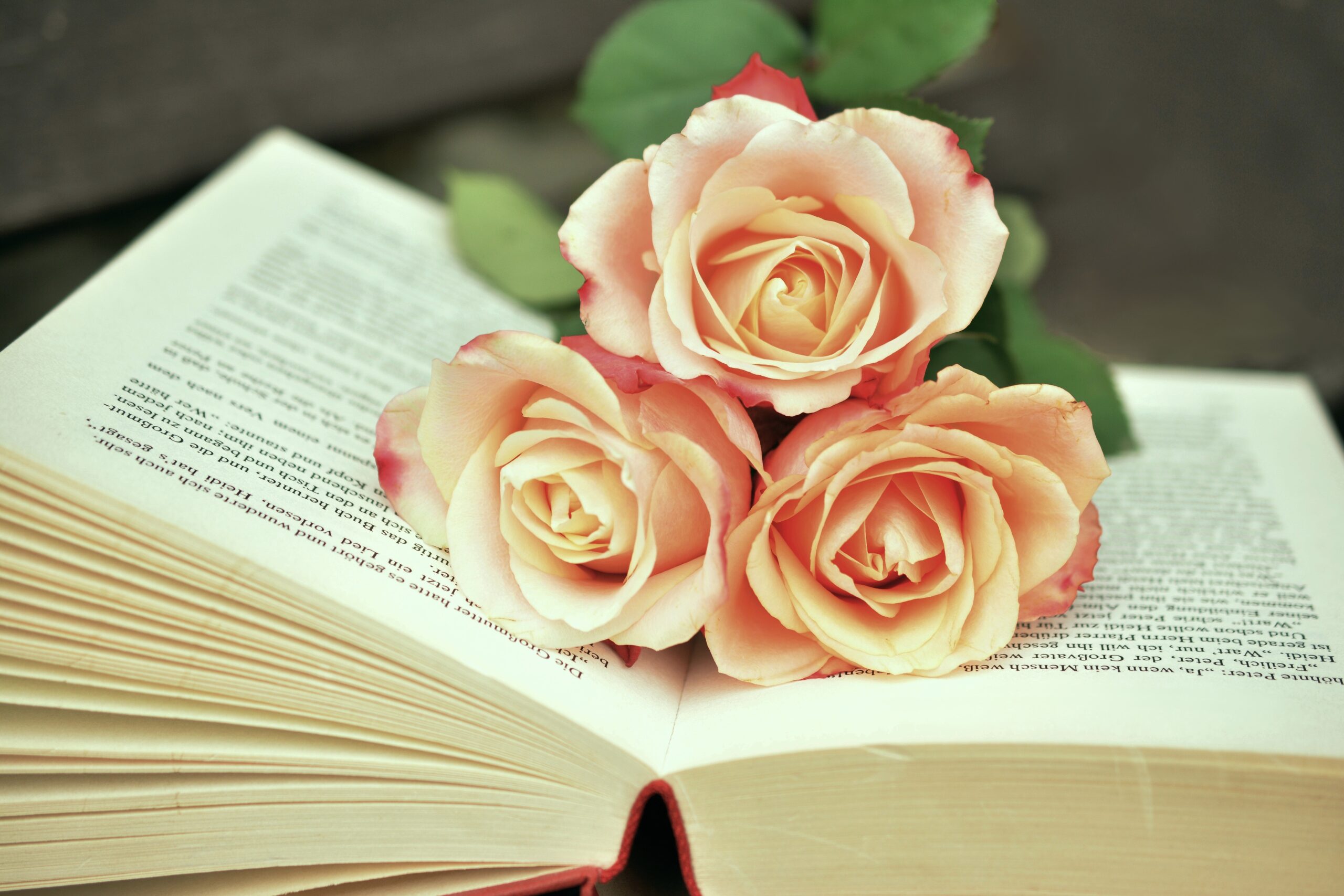 Roses on an Open Book