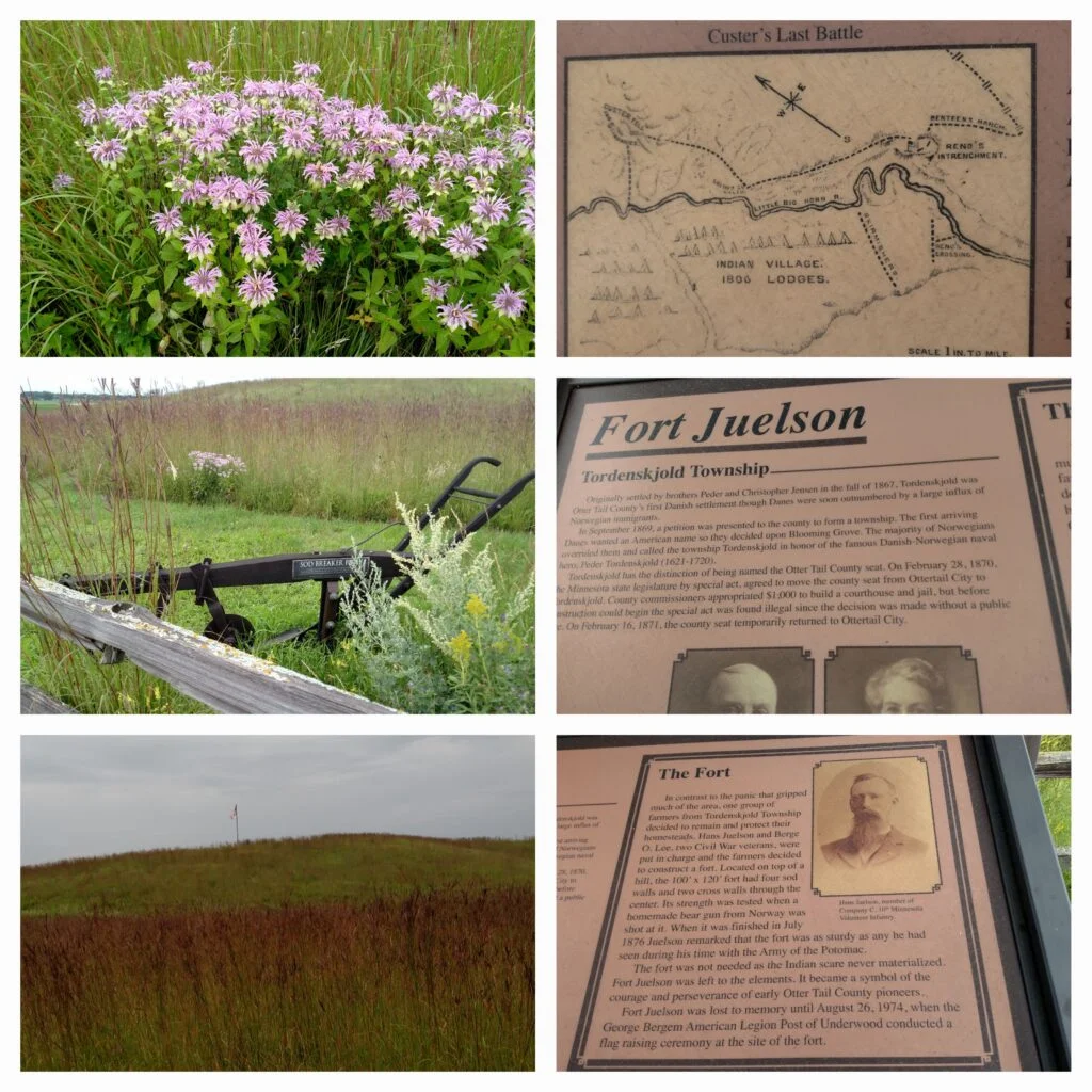 Blooming Prairie Book