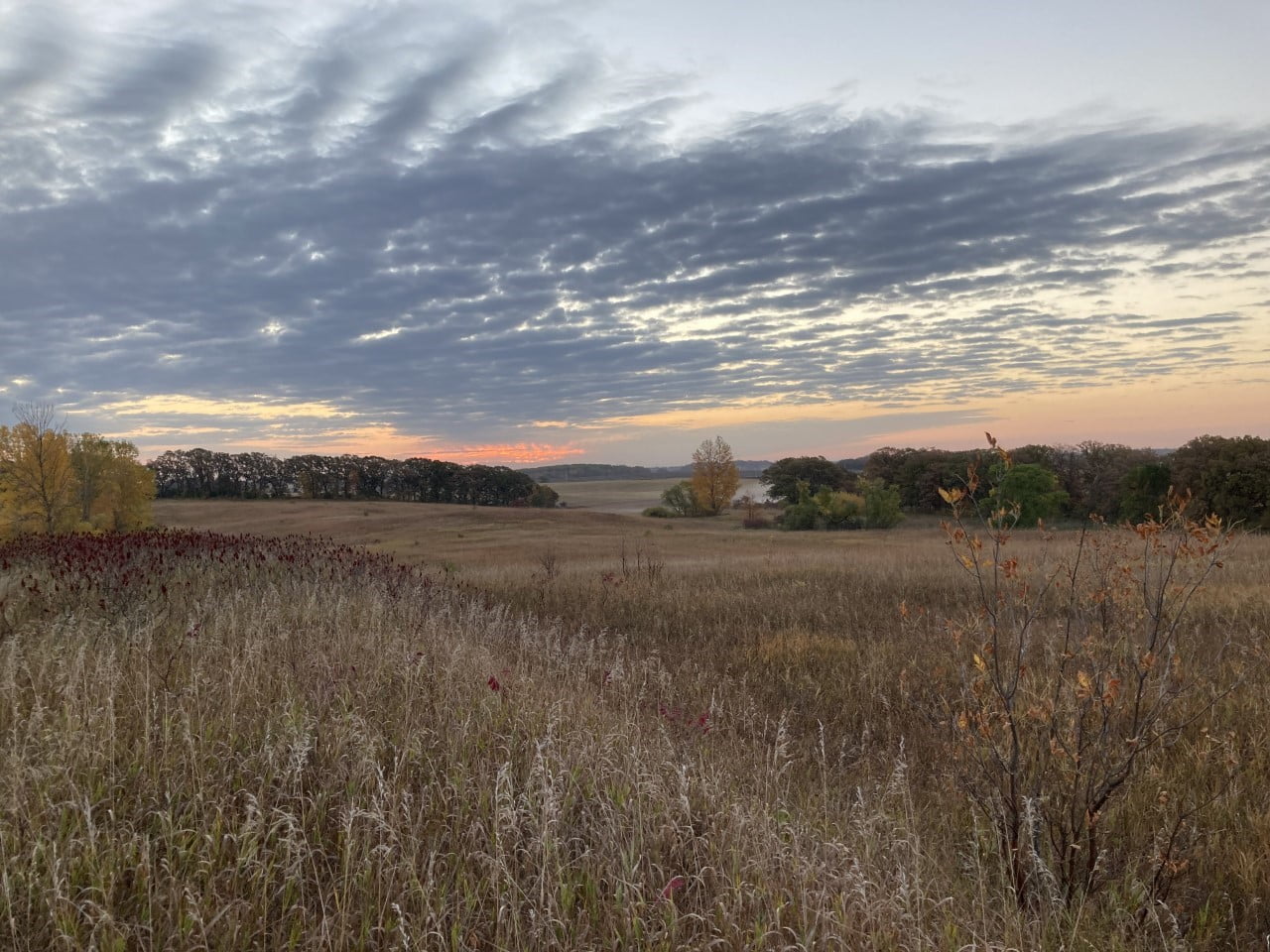 Photo 1 - Just North of Abercrombie Trail